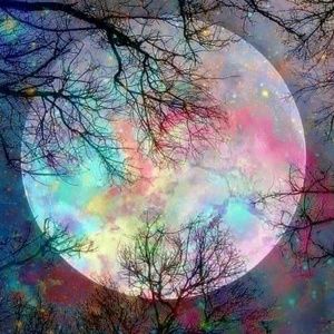 Meet your Posher, Theresa